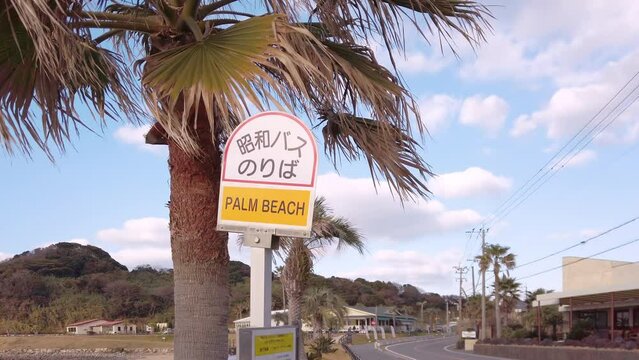 kyushu, japan - december 07 2022: Panning video showcasing a traffic road, an English-language Japanese bus stop sign, and palm trees lining the Palm Beach of  Fukuoka.