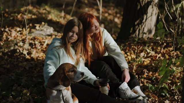 A short stop after an active walk in the forest. Teenage girls resting with their cute dog. The girls stroke their dog's back and enjoy the conversation.