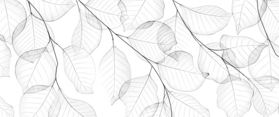 Abstract black and white background with transparent leaves in watercolor style.
