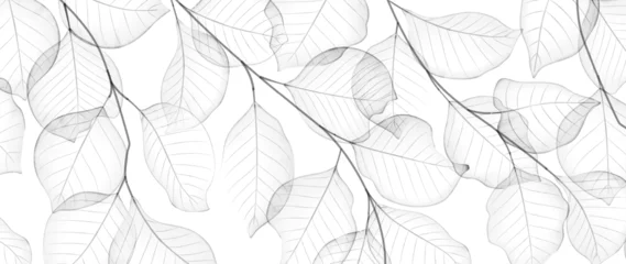 Foto op Plexiglas Abstract black and white background with transparent leaves in watercolor style. © VectorART