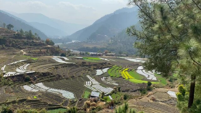 Khamsum Yulley Namgyal Chorten memorial place at the hill in Punakha, Bhutan