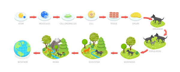 3D Isometric Flat  Conceptual Illustration of Living World Biosphere, Labeled Ecosystem Explanation Scheme Outline