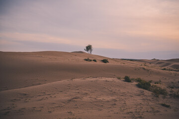 Fototapeta na wymiar Sunset over the sand dunes in the Gobi Desert in Inner Mongolia, China