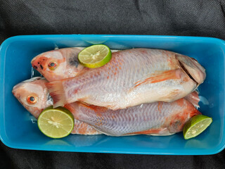 red snapper fish that has been cleaned and lime in the blue box, ready to store or use for cooking