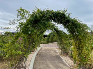 公園にあるバラのアーチ
