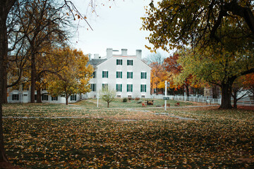 autumn in the city park