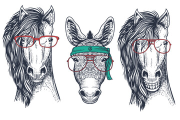 Vector Animal faces in aviator sunglasses, bandanas & hats with various themes. animals, horse, donkey collection V4 - obrazy, fototapety, plakaty