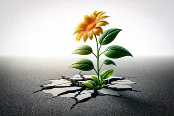 A sunflower growing through cracked asphalt, symbolizing hope and resilience. - obrazy, fototapety, plakaty