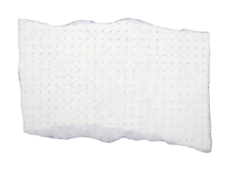 Pieces of torn paper on transparent background png file