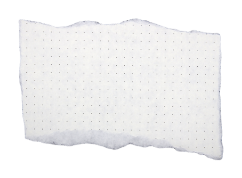 Pieces of torn paper on transparent background png file