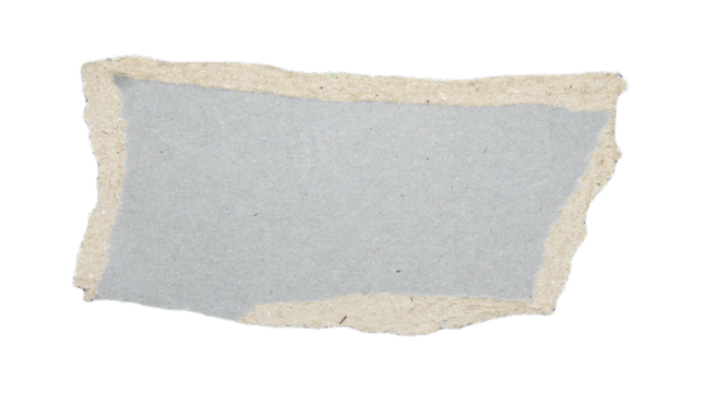 Pieces of torn paper on transparent background png file