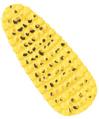 군옥수수 일러스트