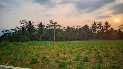 view of the fields in the afternoon