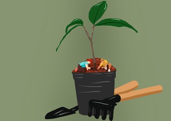 person planting a tree