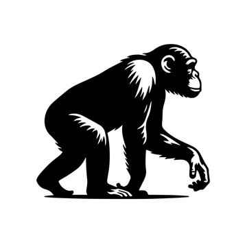 Chimpanzee Vector Logo Art