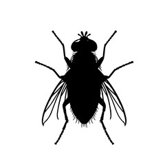 Fly Vector Logo Art
