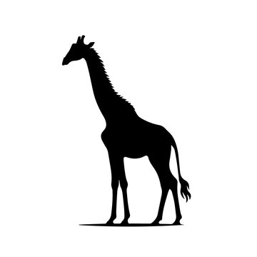 Giraffe Vector Logo Art