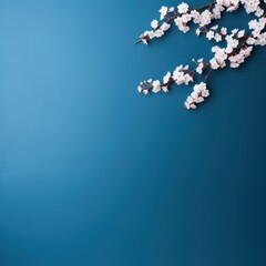 a branch of white flowers on a blue background