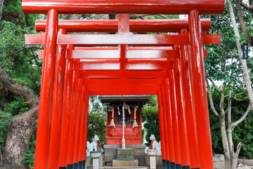 赤い鳥居