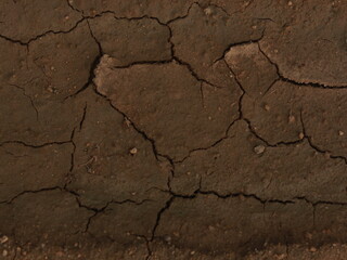 Dry cracked earth background. Natural soil texture.