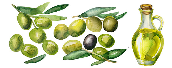 水彩で描いたオリーブとオリーブオイルのイラスト