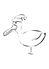 Ente mit Weihnachtsmütze