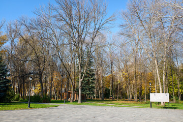 nature of urban forest park