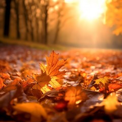 Naklejka na ściany i meble falling autumn leaves background