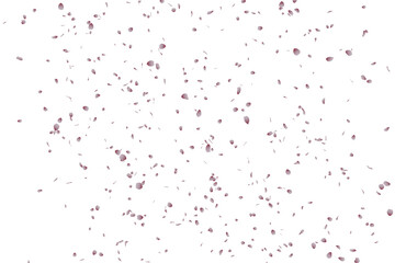 桜吹雪：桜の花びらイラスト