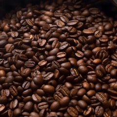 Brown Roasted pile of coffee beans, aroma, on Dark Background.