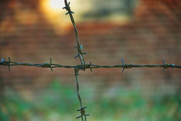 Rusty barbed wire fence in an outdoor environment