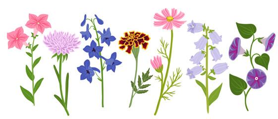 vector drawing set of flowers isolated at white background, hand drawn botanical illustration - obrazy, fototapety, plakaty