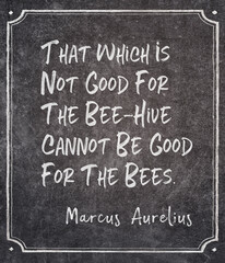 good for the bees Aurelius quote