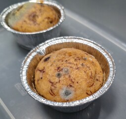 Picture of fungus in food, fungus in banana cake