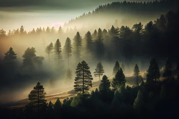 Foto auf Alu-Dibond Wald im Nebel Serene Misty Morning in the Enchanting Forest Generative AI