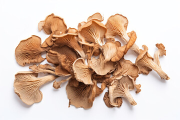 Dried mushrooms on white background