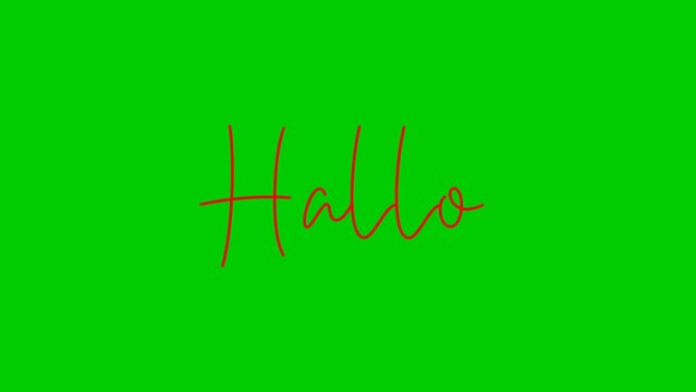 Hello Animated Text . Great for video introduction, 4K Footage Animation. Greenscreen background	
