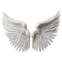 Fototapeta premium A birds wings golden and white background 3d render Ai generated Art 