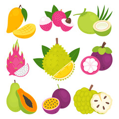 Set of Thailand fruits isolated on white background. Mango, lychee, coconut, dragon fruit, durian, mangosteen, papaya, passion fruit and sugar apple. Vector illustration of tropical exotic fruits.