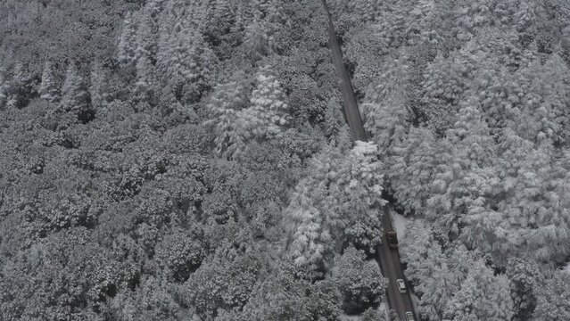 Ifrane  est une ville et commune urbaine du Maroc situ&eacute;e dans le Moyen Atlas, &agrave; 1 650 m&egrave;tres d'altitude.