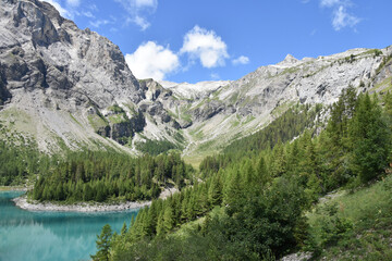 Fototapeta na wymiar Forested Cove in the Swiss Alps on Lake Tseuzier