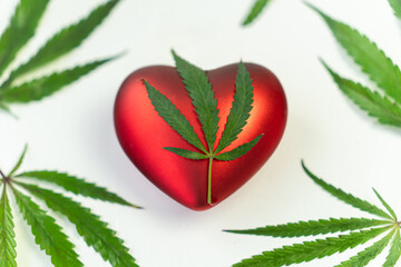 green hemp leaf and ceramic heart model white background, medical cannabis concept, close up, love...