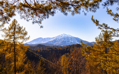 Herbstlicher Wald in den Voralpen, Niederösterreich. Ausblick auf den Schneeberg