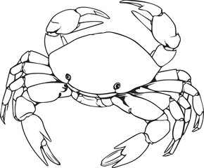 Sea Crab Line art coloring book page design