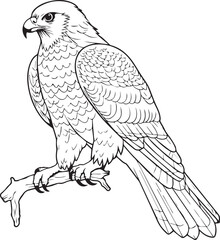 Eagle on a Branch Line art coloring book page design