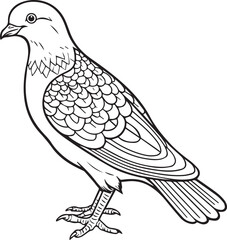Dove of Peace Line art coloring book page design