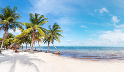 Paradise Sunny beach with palms and turquoise sea. Summer vacation and tropical beach concept -...