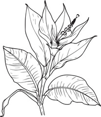 Black and white flower leaves line art coloring page design