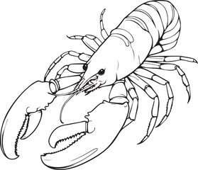 Shrimp coloring book page design