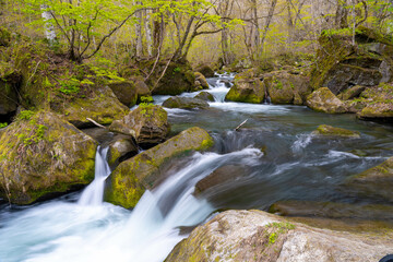 日本　青森　奥入瀬渓流　川　十和田湖　清流